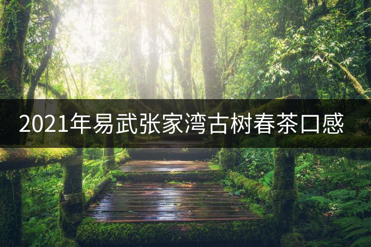 2021年易武張家灣古樹春茶口感特點介紹 2021年易武張家灣古樹春茶口感特點介紹