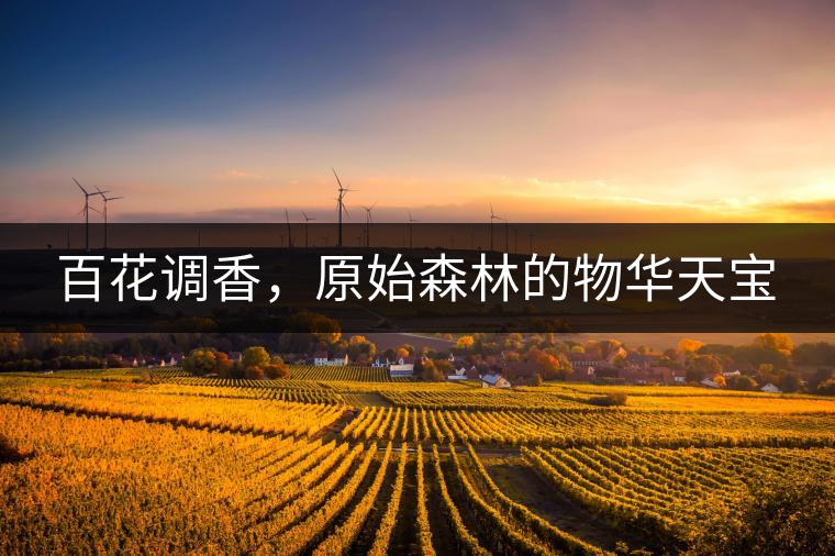 百花調(diào)香，原始森林的物華天寶