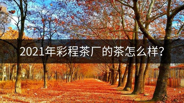 2021年彩程茶廠的茶怎么樣？