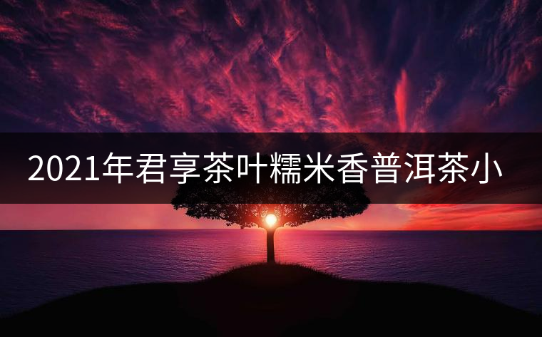 2021年君享茶葉糯米香普洱茶小沱茶餅口感好嗎？