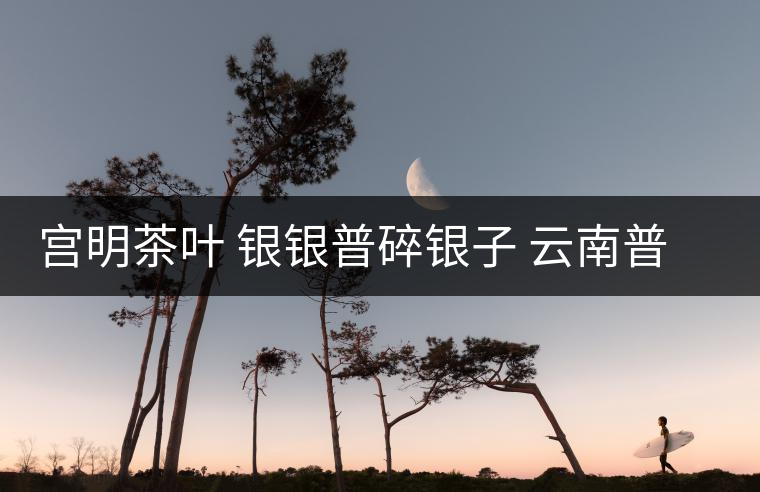 宮明茶葉 銀銀普碎銀子 云南普洱茶熟茶易武古樹(shù)糯米香老茶頭好喝嗎? 宮明茶葉 銀銀普碎銀子 云南普洱茶熟茶易武古樹(shù)糯米香老茶頭好喝嗎?