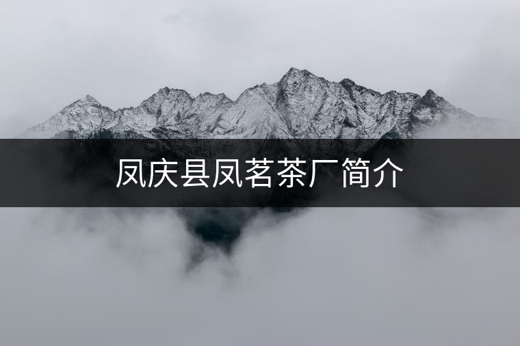鳳慶縣鳳茗茶廠簡介 鳳慶縣鳳茗茶廠簡介