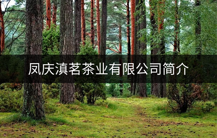 鳳慶滇茗茶業(yè)有限公司簡(jiǎn)介 鳳慶滇茗茶業(yè)有限公司簡(jiǎn)介