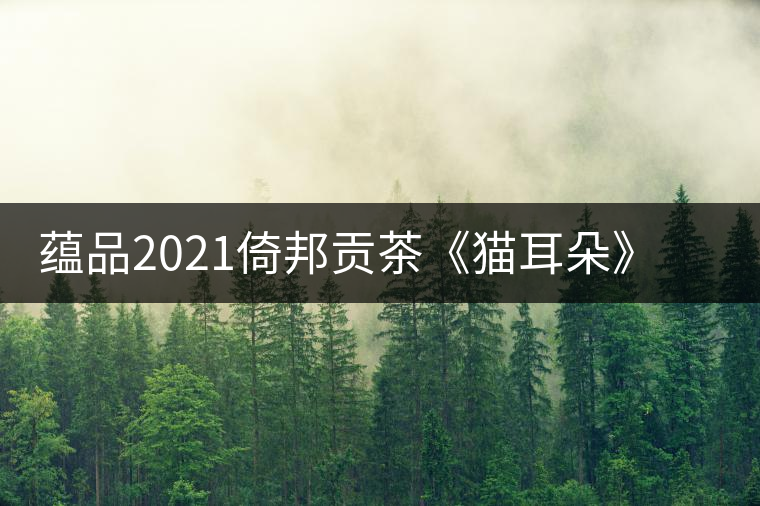 蘊(yùn)品2021倚邦貢茶《貓耳朵》古樹普洱茶生茶好喝嗎？