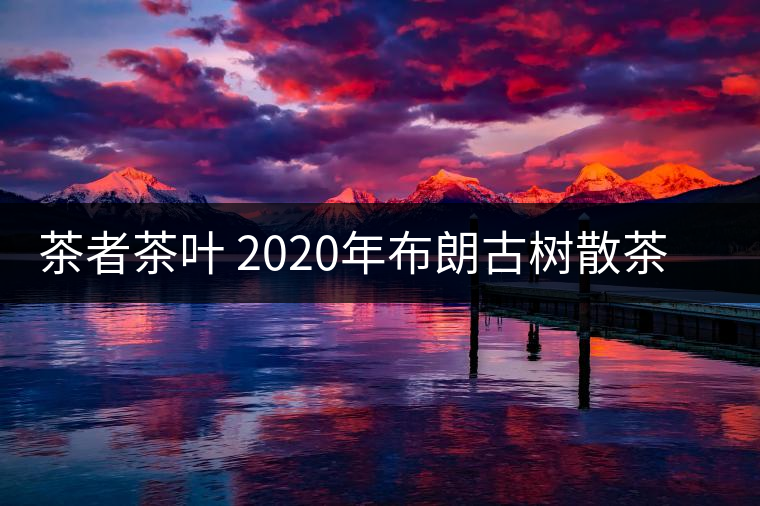 茶者茶葉 2020年布朗古樹散茶  性價(jià)比怎么樣？