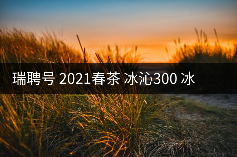瑞聘號 2021春茶 冰沁300 冰島頭春古樹茶好喝嗎？