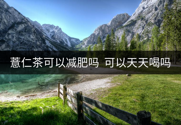 薏仁茶可以減肥嗎 可以天天喝嗎 薏仁茶可以減肥嗎 可以天天喝嗎