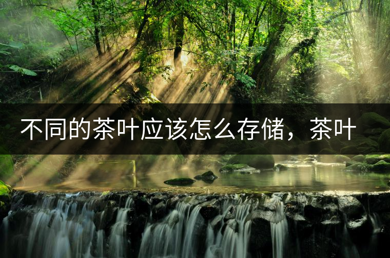不同的茶葉應(yīng)該怎么存儲，茶葉罐又該如何選擇？