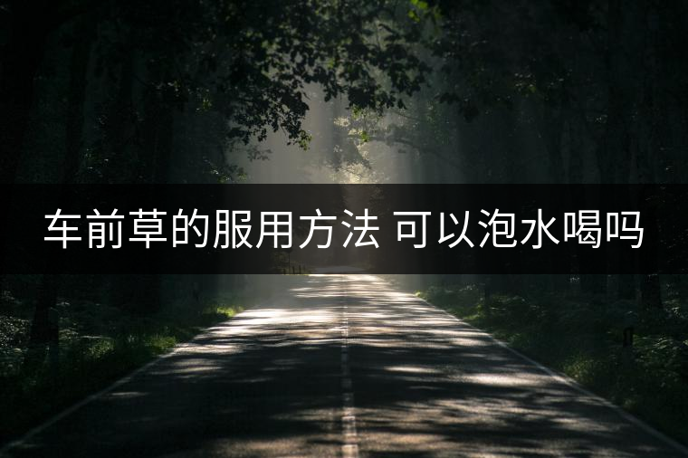 車前草的服用方法 可以泡水喝嗎