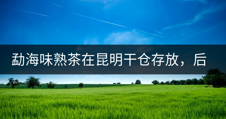 勐海味熟茶在昆明干倉存放，后期轉(zhuǎn)化如何呢？