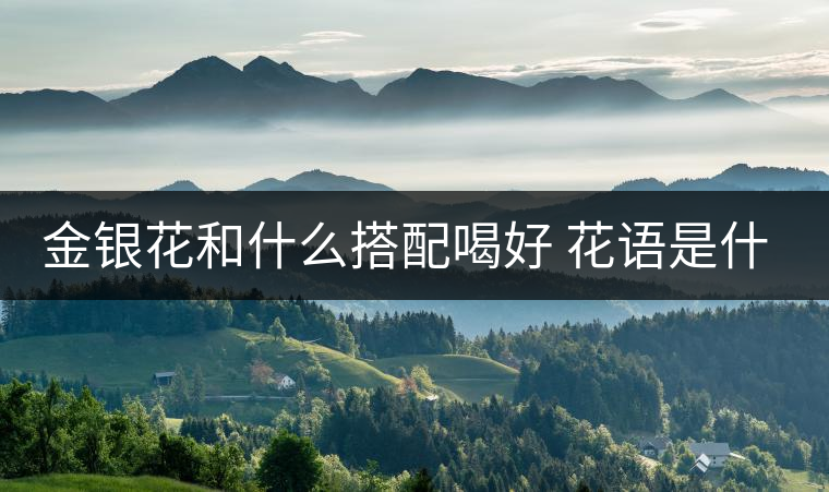 金銀花和什么搭配喝好 花語是什么 金銀花和什么搭配喝好 花語是什么