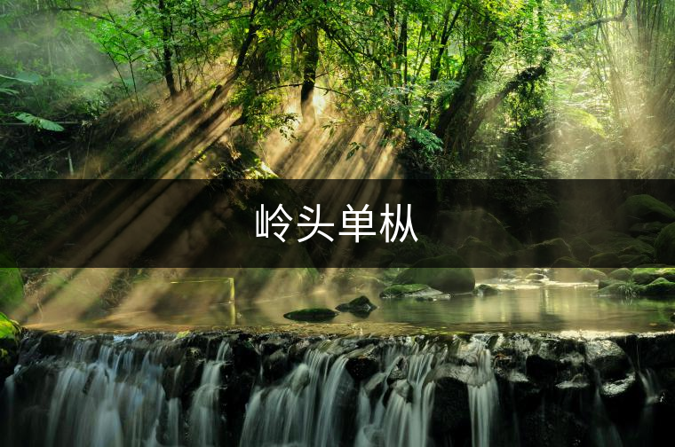 嶺頭單樅 嶺頭單樅