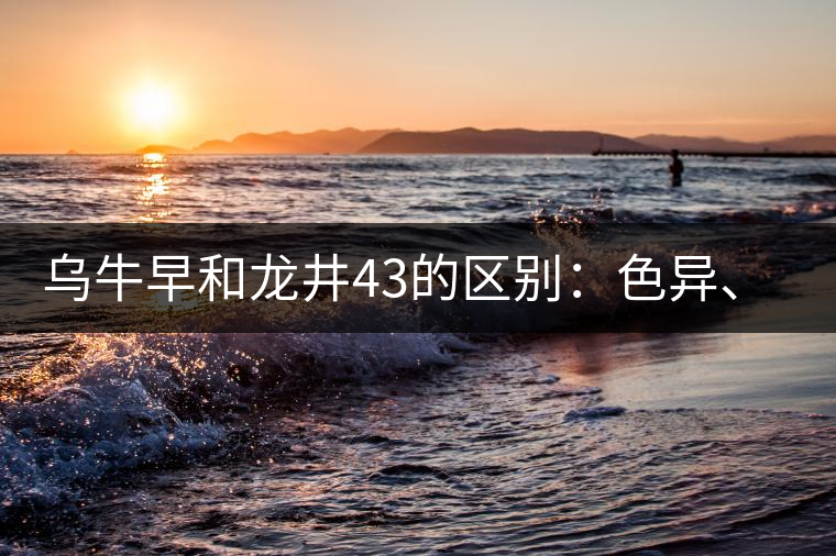 烏牛早和龍井43的區(qū)別：色異、香異、形異