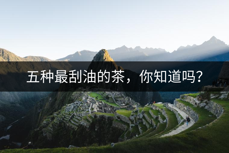 五種最刮油的茶，你知道嗎？