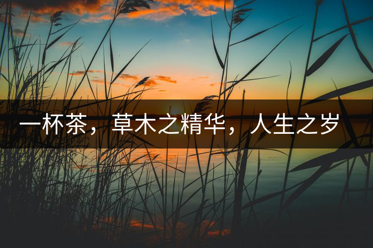 一杯茶，草木之精華，人生之歲月
