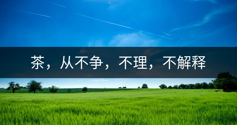 茶，從不爭，不理，不解釋