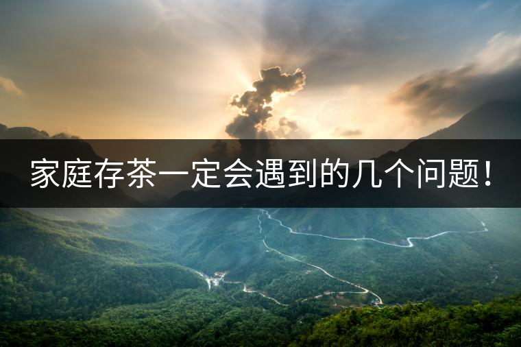 家庭存茶一定會遇到的幾個問題！