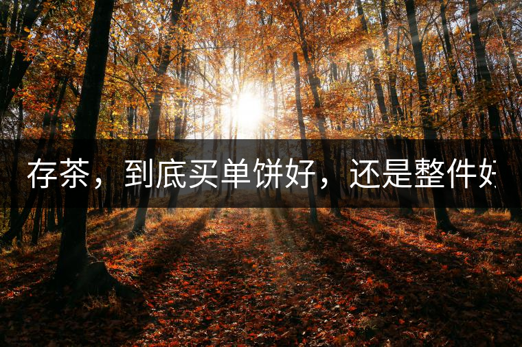 存茶，到底買單餅好，還是整件好？