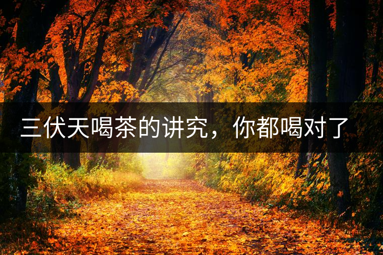 三伏天喝茶的講究，你都喝對(duì)了嗎？