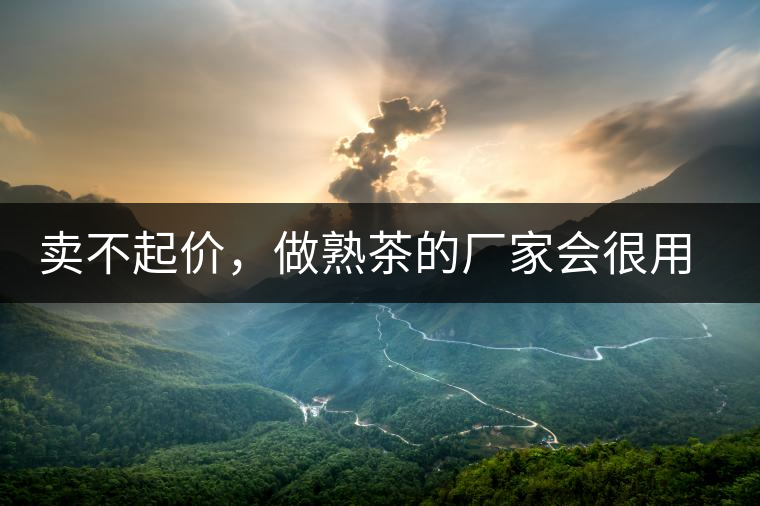 賣不起價，做熟茶的廠家會很用心生產(chǎn)熟茶嗎？