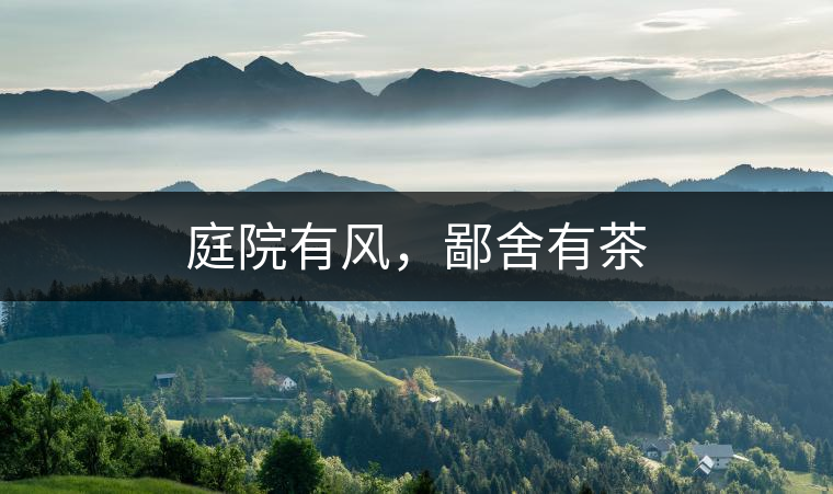 庭院有風(fēng)，鄙舍有茶