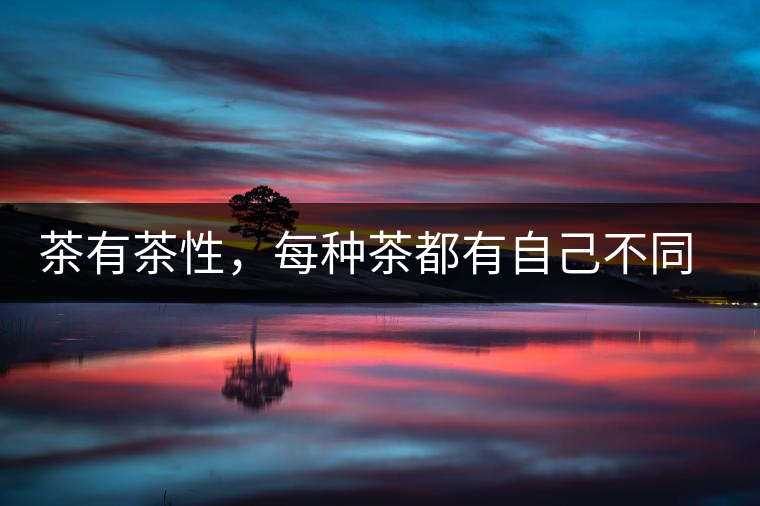 茶有茶性，每種茶都有自己不同的正確泡法