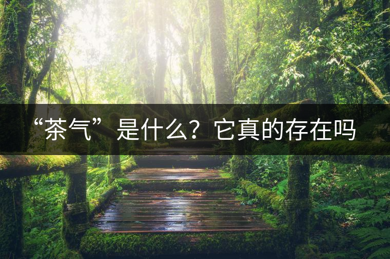 “茶氣”是什么？它真的存在嗎？