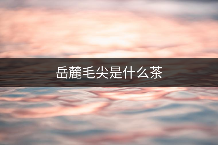 岳麓毛尖是什么茶 岳麓毛尖是什么茶