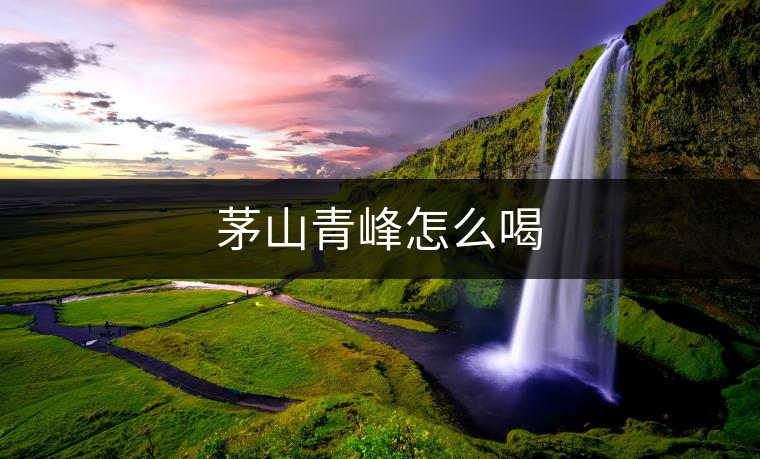 茅山青峰怎么喝 茅山青峰怎么喝