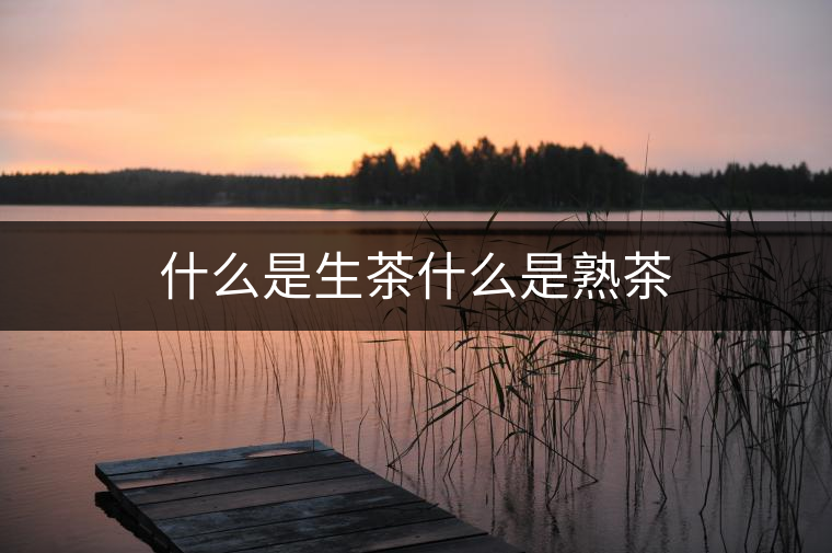 什么是生茶什么是熟茶