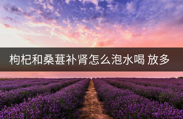 枸杞和桑葚補腎怎么泡水喝 放多少合適 枸杞和桑葚補腎怎么泡水喝 放多少合適