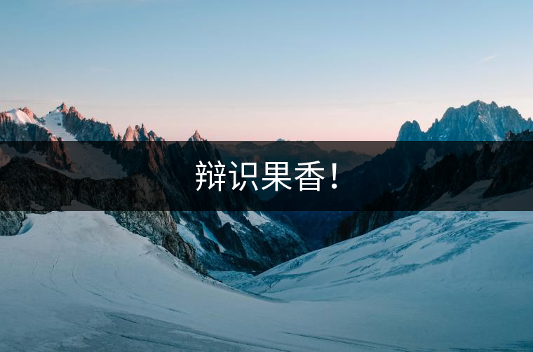 辯識果香！