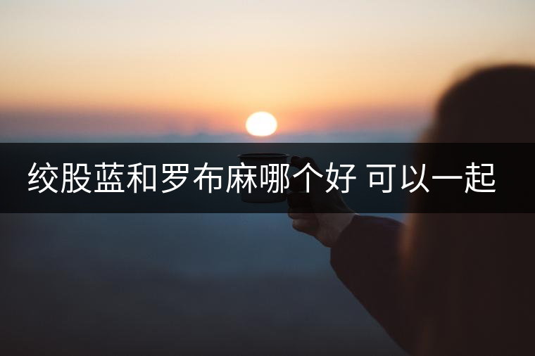 絞股藍(lán)和羅布麻哪個好 可以一起泡水喝嗎 絞股藍(lán)和羅布麻哪個好 可以一起泡水喝嗎
