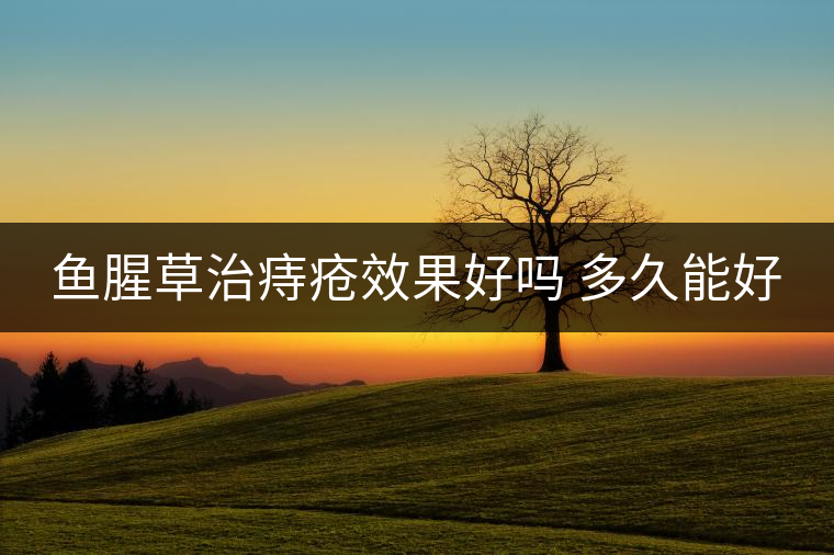 魚(yú)腥草治痔瘡效果好嗎 多久能好