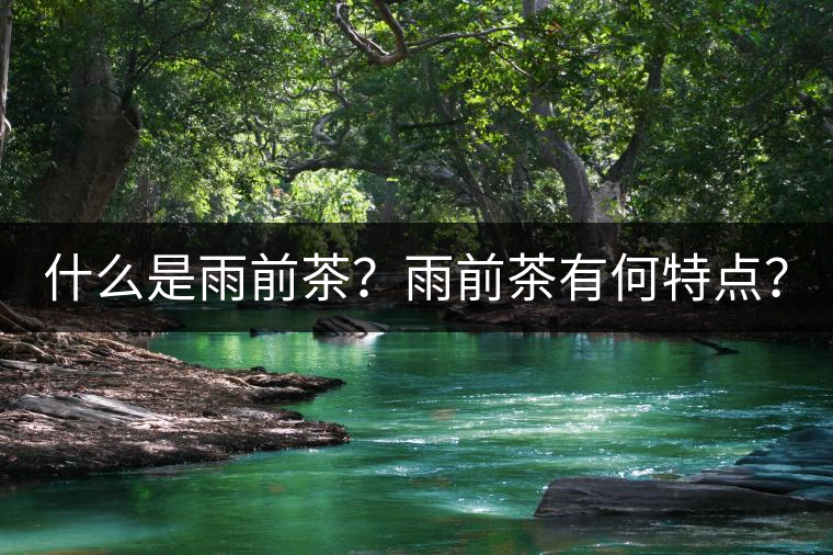 什么是雨前茶？雨前茶有何特點？