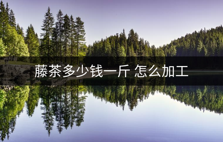 藤茶多少錢一斤 怎么加工