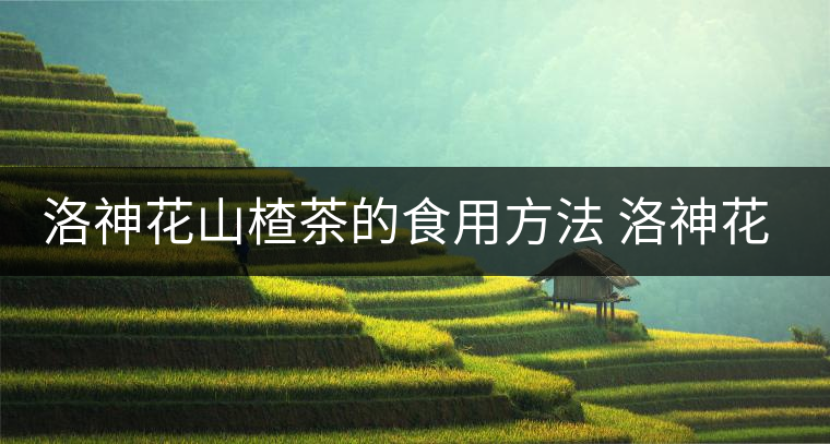 洛神花山楂茶的食用方法 洛神花山楂茶的做法 洛神花山楂茶的食用方法 洛神花山楂茶的做法