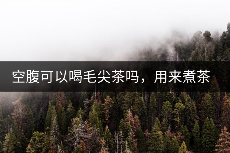 空腹可以喝毛尖茶嗎，用來煮茶葉蛋怎么樣？