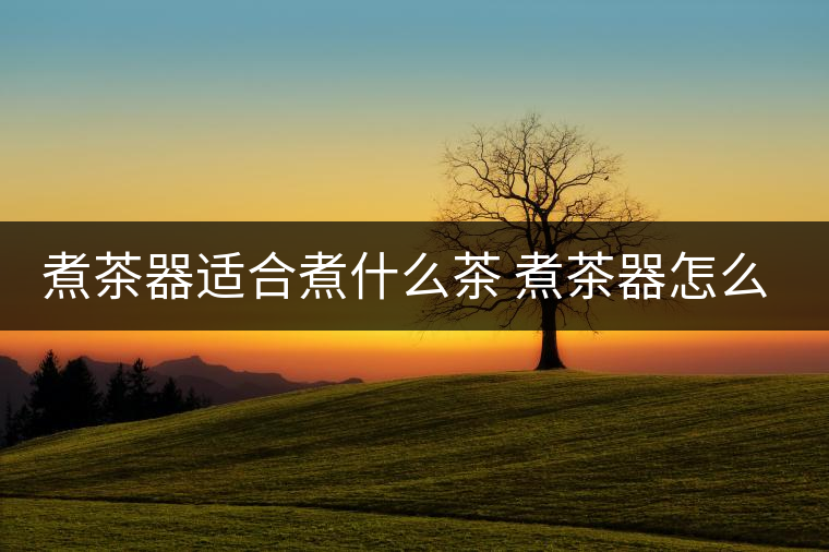 煮茶器適合煮什么茶 煮茶器怎么使用