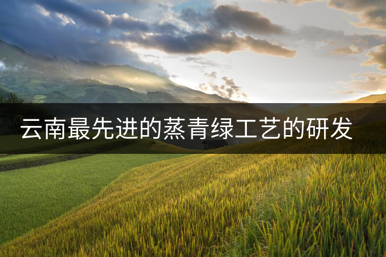 云南最先進(jìn)的蒸青綠工藝的研發(fā)者是誰？