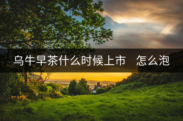 烏牛早茶什么時候上市    怎么泡