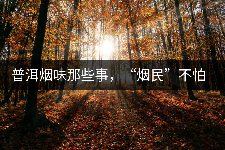 普洱煙味那些事，“煙民”不怕當(dāng)