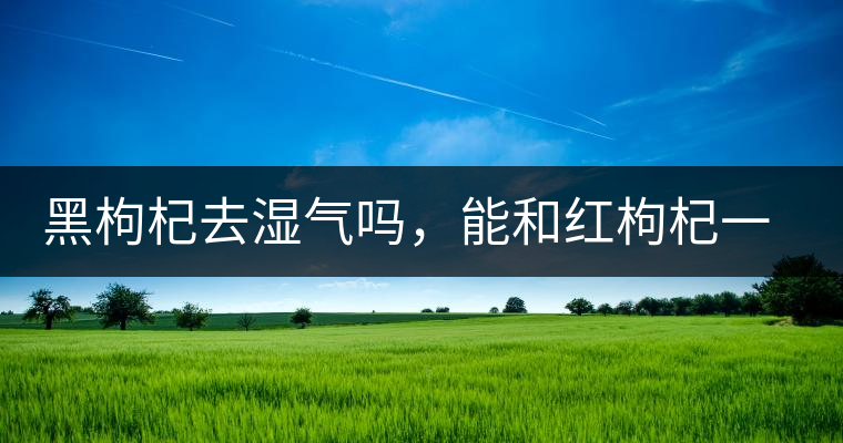 黑枸杞去濕氣嗎，能和紅枸杞一起泡嗎？