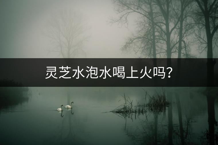 靈芝水泡水喝上火嗎？