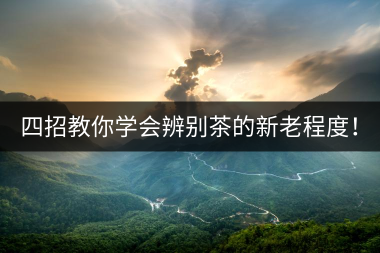 四招教你學(xué)會辨別茶的新老程度！