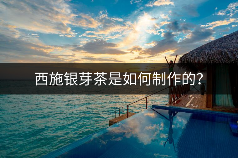 西施銀芽茶是如何制作的？