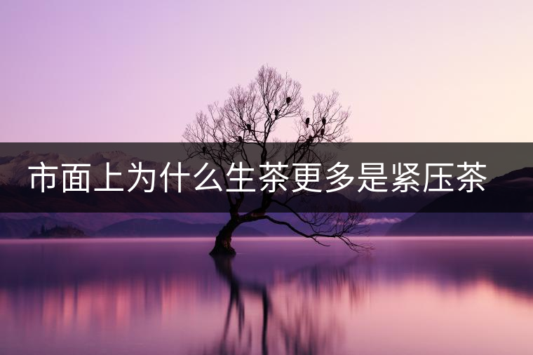 市面上為什么生茶更多是緊壓茶而非散茶？