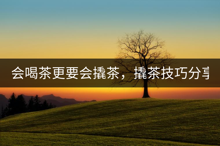 會喝茶更要會撬茶，撬茶技巧分享！