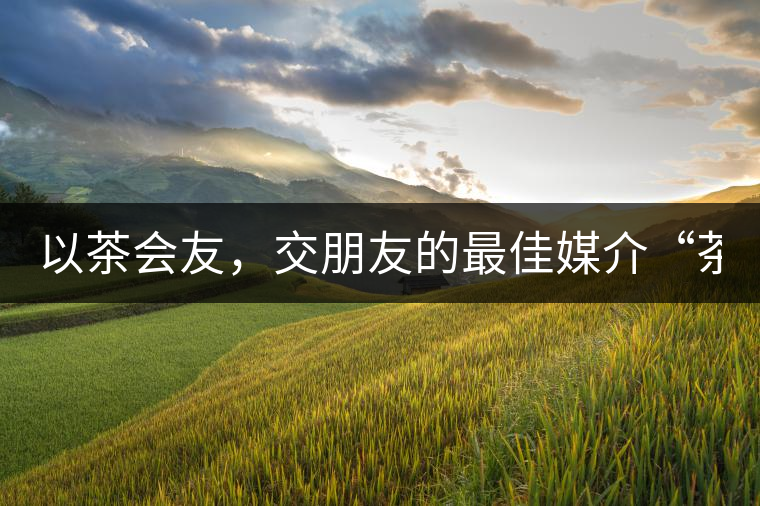 以茶會友，交朋友的最佳媒介“茶”！