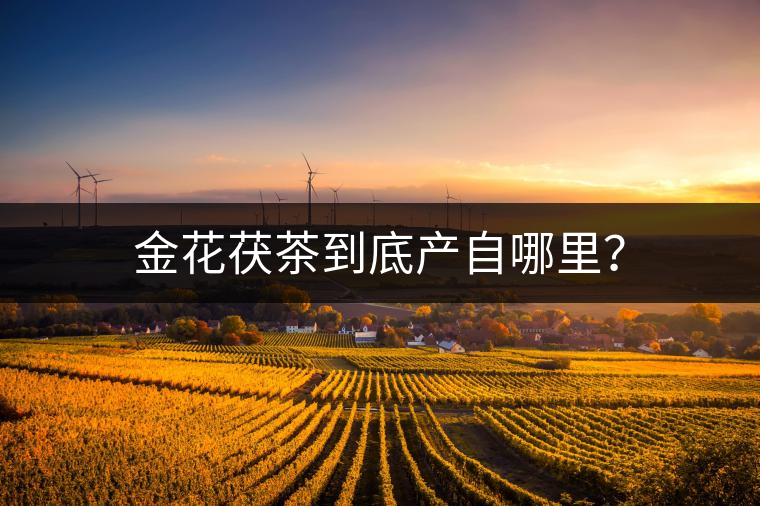 金花茯茶到底產(chǎn)自哪里？